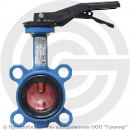 Затвор дисковый поворотный межфланцевый Ду-50 Ру-16 с нержавеющим диском Giacomini R59W